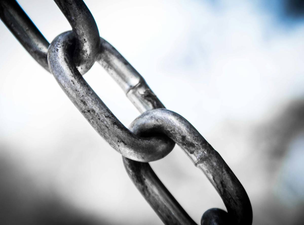 certified supply chain certification study roadmap showing phased preparation approach