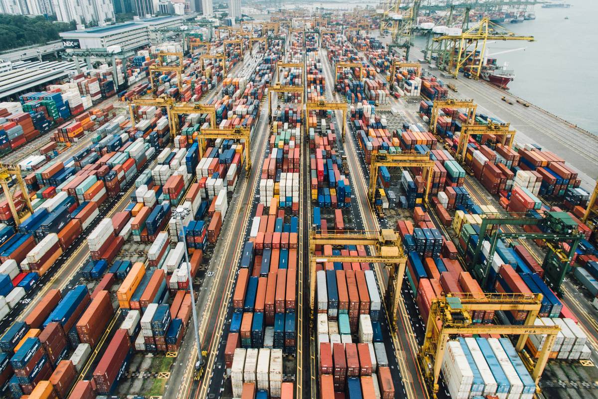what is certified supply chain professional - study roadmap infographic